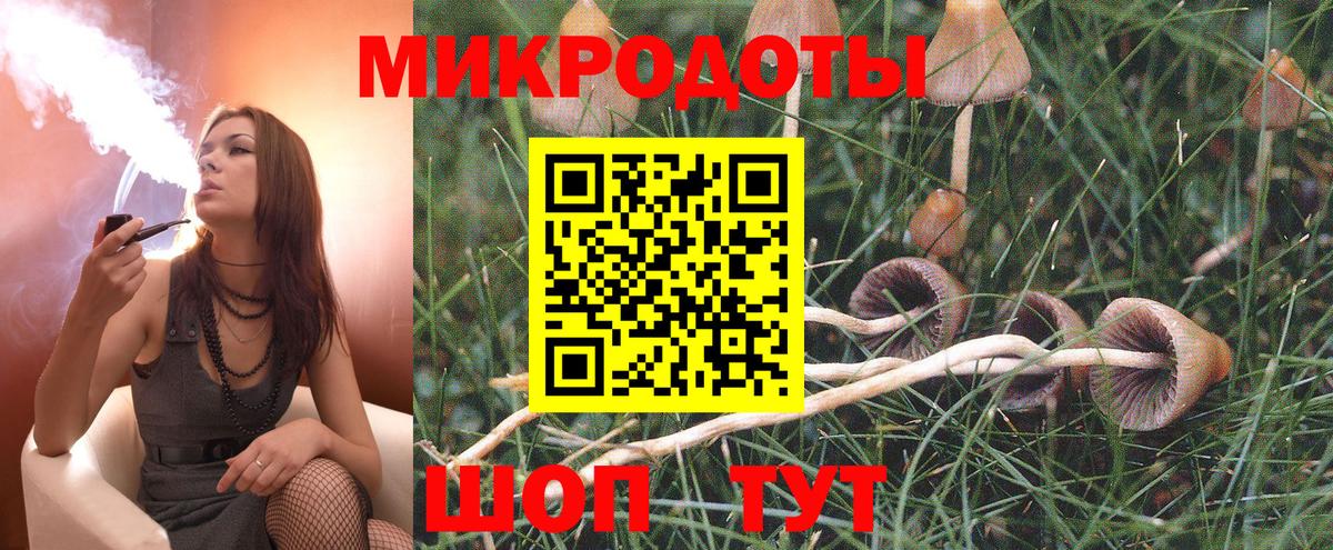 Псилоцибиновые грибы Psilocybe  Вход с VPN  Мелеуз 